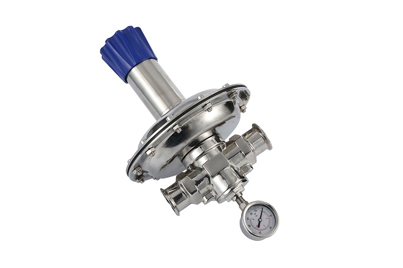 衛生級背壓閥